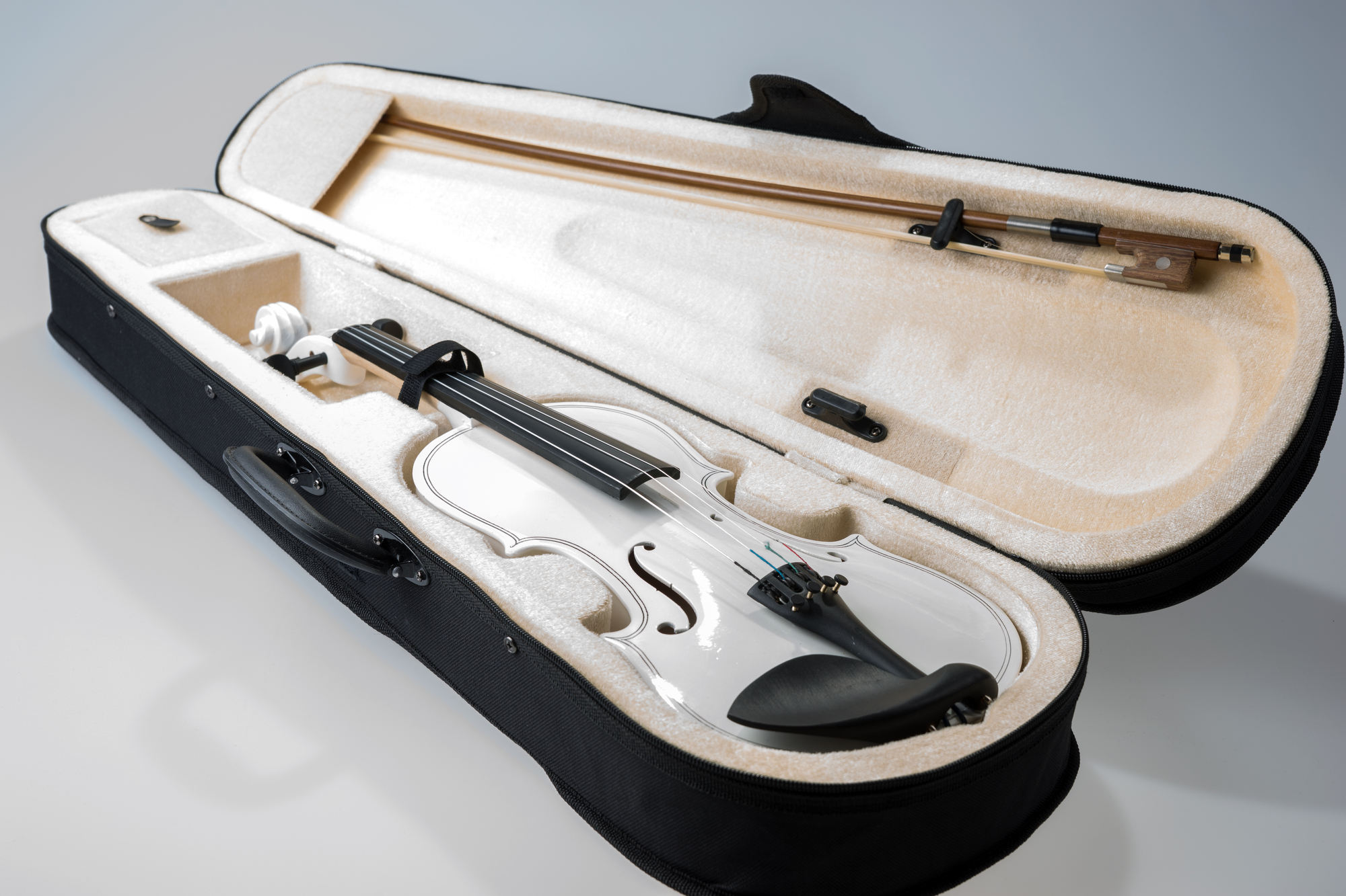 Best Violin Cases