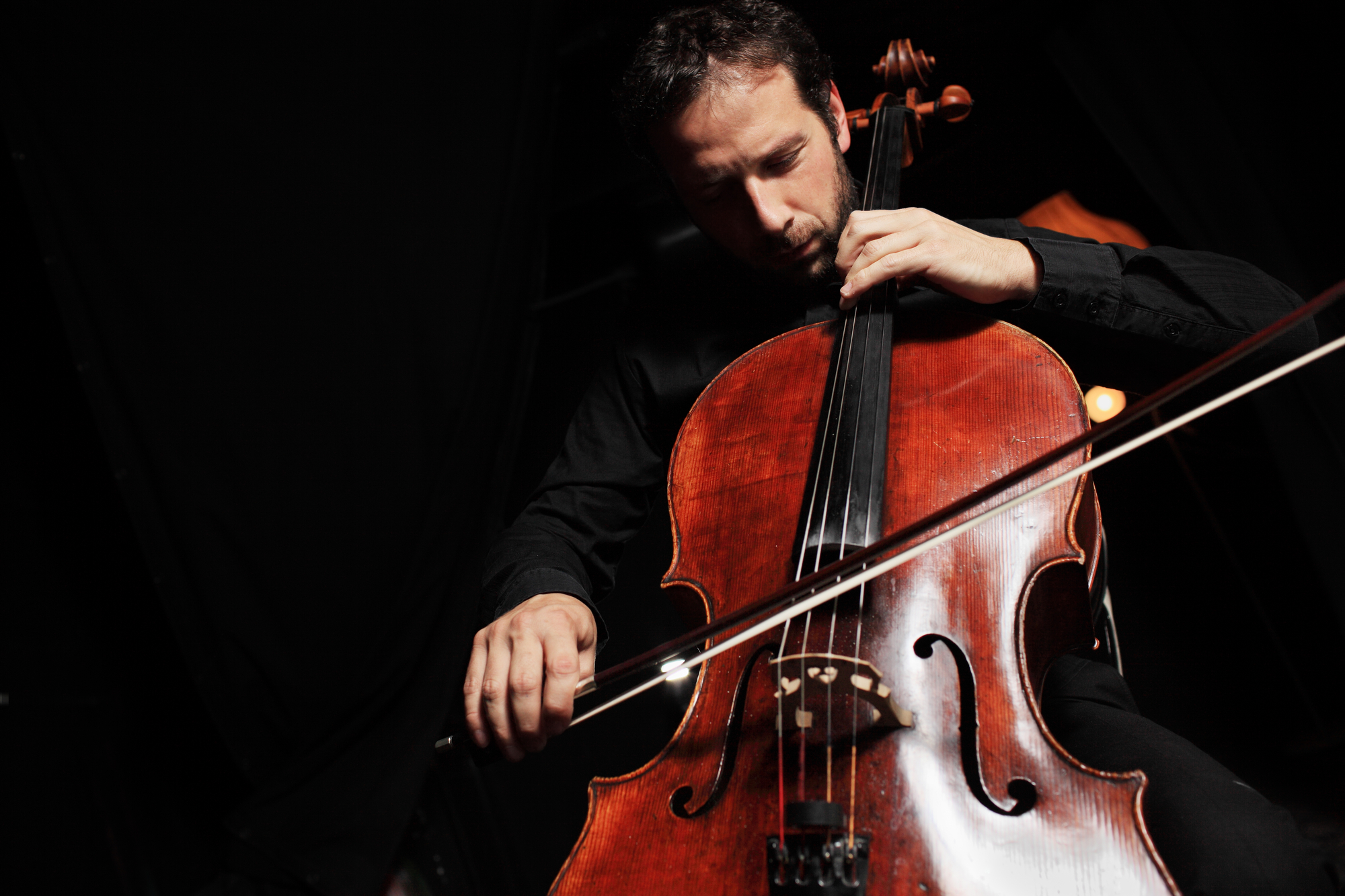 The Best Cello Models and Brands You Can Find on The Market in 2025