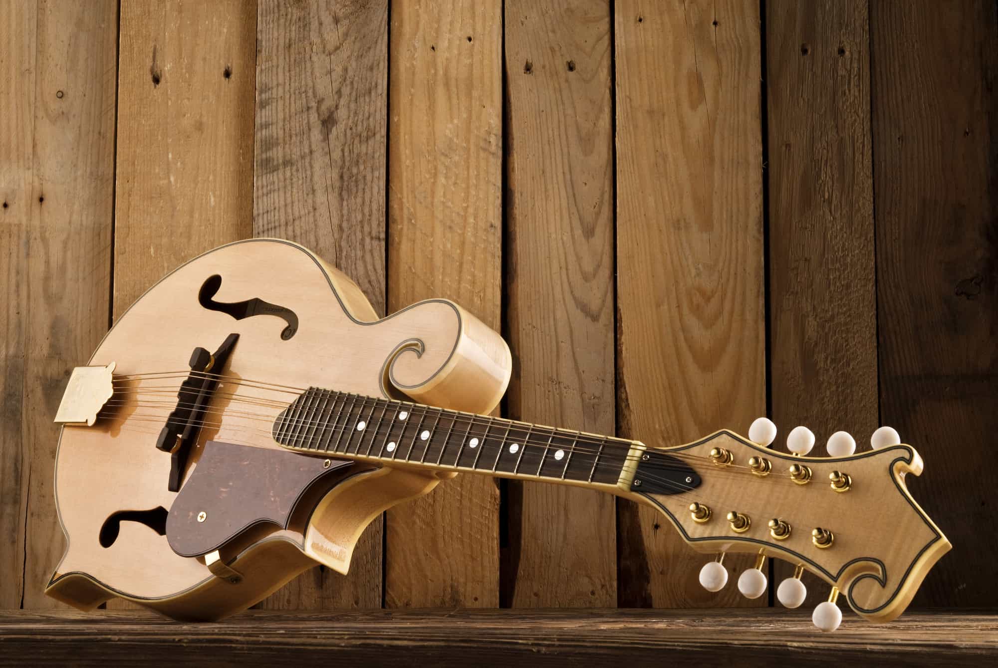 The Best Mandolin Models and Brands in 2025