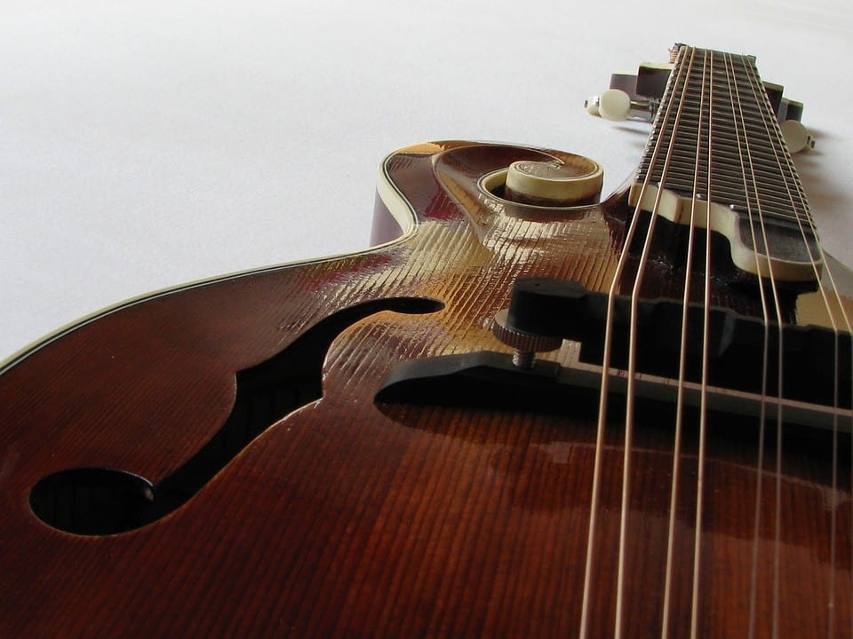 mandolin