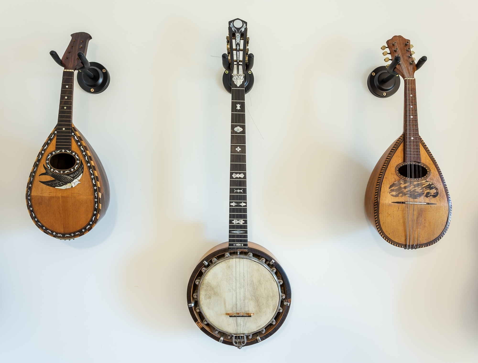 Mandolin vs. Banjo: What's the Difference?