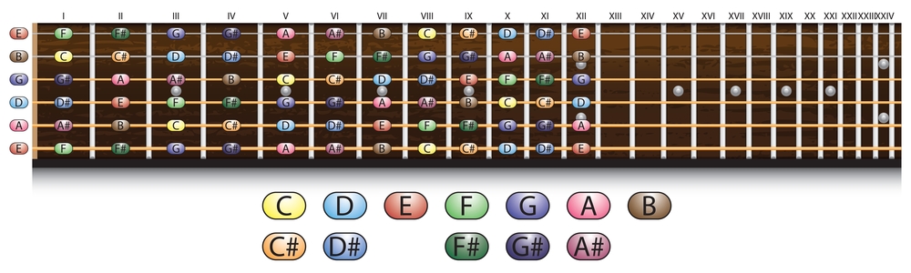 guitar fretboard chart